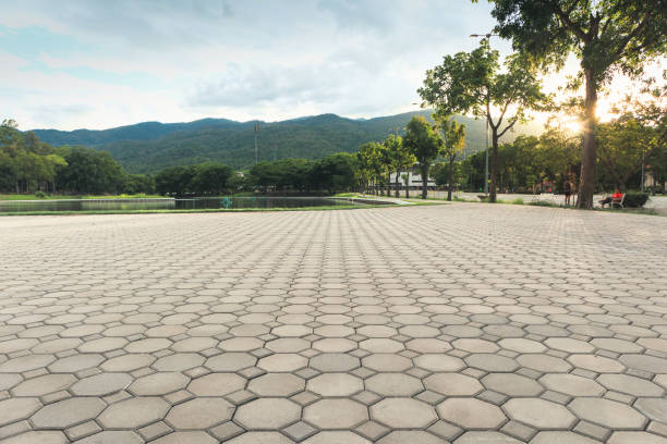 Best Best Driveway Pavers  in Martinsburg, WV